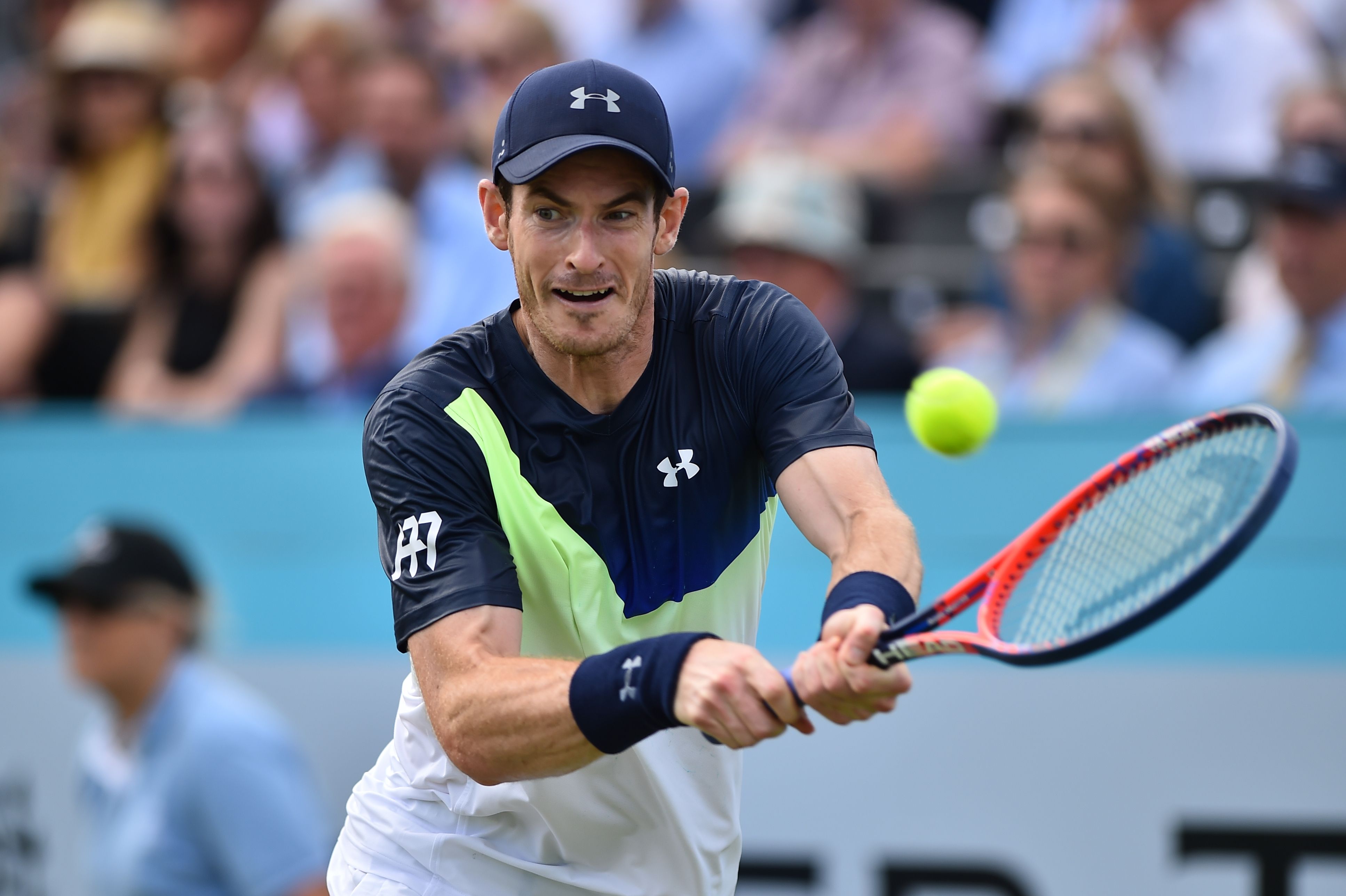 法国网球队爆冷德国网球队，穆雷打破历史纪录的简单介绍