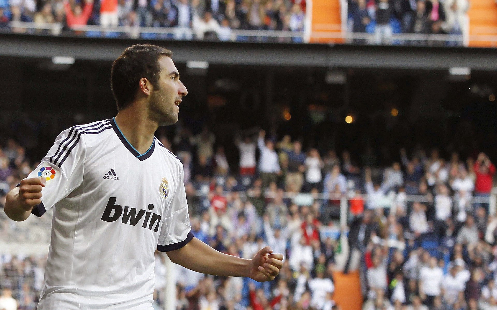 凯塞多状态火热引领风暴，阿尔及利亚逆境翻盘爱尔兰启示录